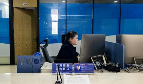 沙坪壩區(qū)信用修復(fù)咨詢窗口正式啟用 網(wǎng)絡(luò)技術(shù)服務(wù)助力信用重建